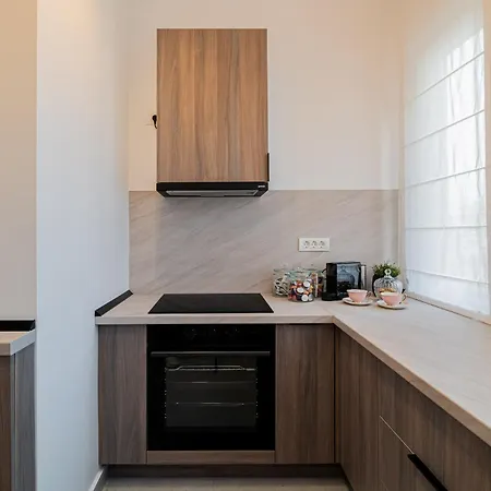 Loggia & Luxe 4br Penthouse In Universitatii Area דירה